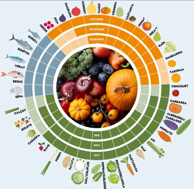 Per tancar la #ewwr2024, recuperem una infografia del @diariARA que ens agrada molt. Consumir fruites i verdures🍊🥦de temporada redueix el #malbaratament perquè s'escurcen els passos de la cadena alimentària i hi ha menys possibilitats que els aliments es malmetin a causa del transport o l'emmagatzematge. A més, també hi surten guanyant la nostra salut, l'economia local i elmedi ambient ( ➖emissions de CO2). 
#malbaratamentalimentari 
#europeanweekwastereduction 
@residuscat @2ewwr @bancderecursos @remenjammm